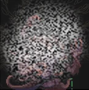 /uploadfile/2025/0219/20250219152839524.jpg