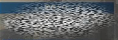 /uploadfile/2025/0222/20250222184919371.jpg