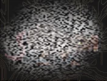 /uploadfile/2025/0318/20250318135309608.jpg