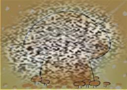 /uploadfile/2025/0319/20250319140318181.jpg