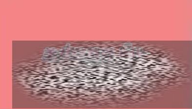 /uploadfile/2025/0402/20250402160431311.jpg